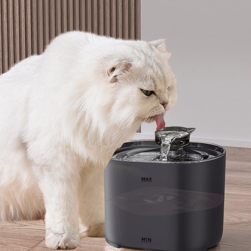 Automatic Water Dispenser for Pets